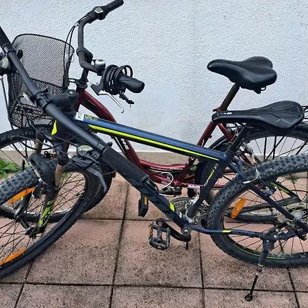 Apartments Luka Free Bikes Rovinj Exterior foto